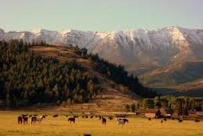 Farm and ranch property